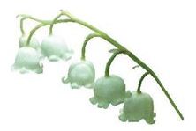 muguet